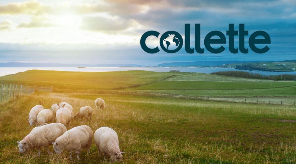 Exploring Britain and Ireland